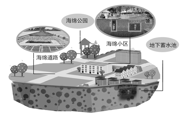 安徽合肥：加快推进海绵城市建设 探索生态文明建设新路
